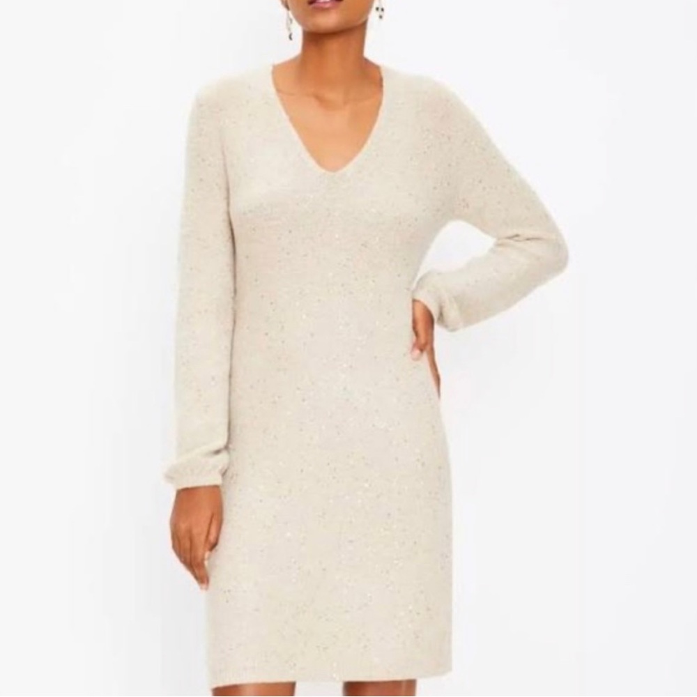 LOFT Sparkly Beige Knit Sweater Dress